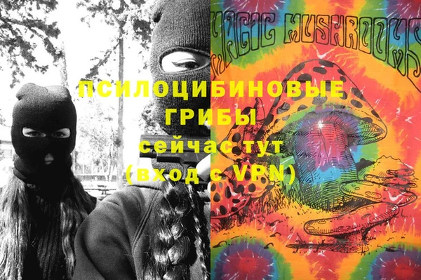 гашик Горнозаводск