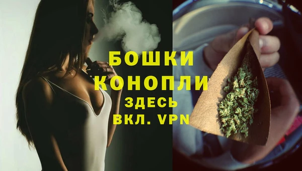 ешки Дмитровск