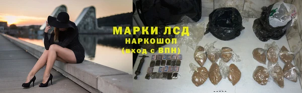 стаф Вязьма