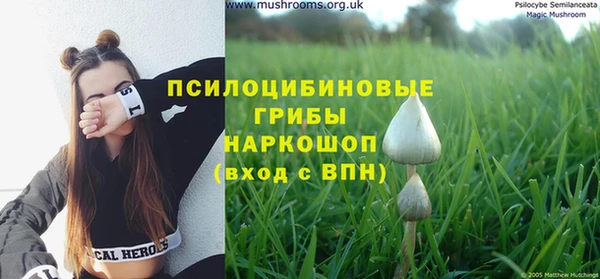 гашик Горнозаводск