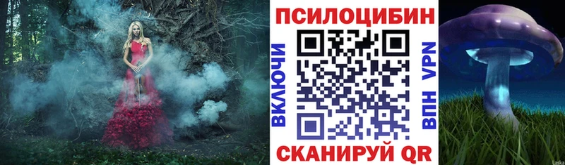 Псилоцибиновые грибы мицелий  даркнет наркотические препараты  Донской  ссылка на мегу как зайти 