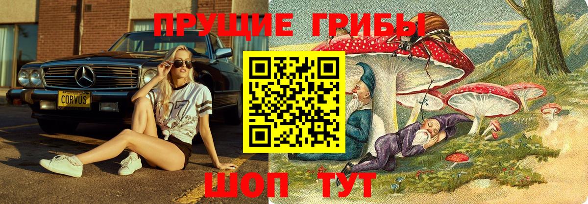 МЕФ кристаллы  Каннабис  Донской  Вход с VPN  ГАШ  Гашиш  COCAIN 
