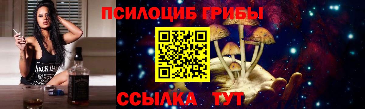 Донской  Псилоцибиновые грибы мухоморы  Вход с VPN 