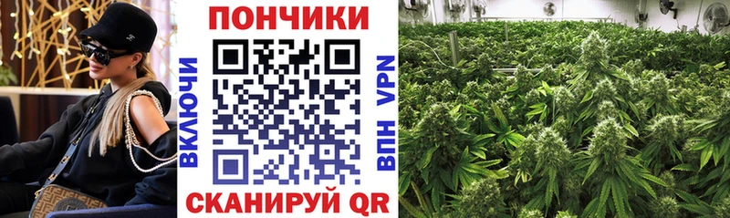 цены наркотик Донской Канабис White Widow